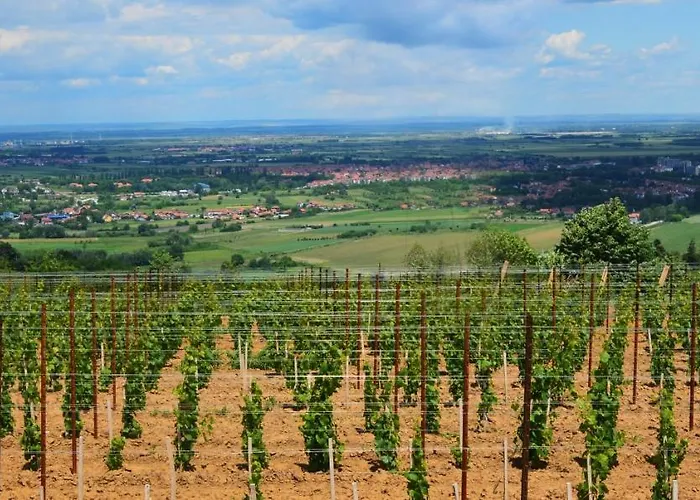 Bed & Breakfast Djerdap 3*